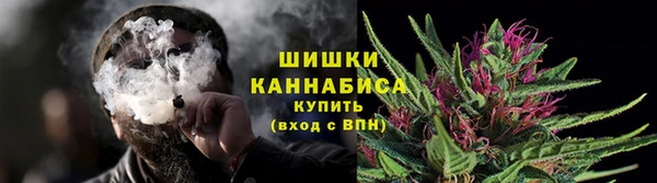 Альфа ПВП Белокуриха