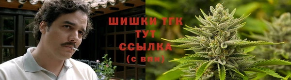 шишки Белоозёрский