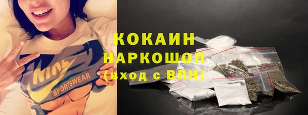 шишки Белоозёрский