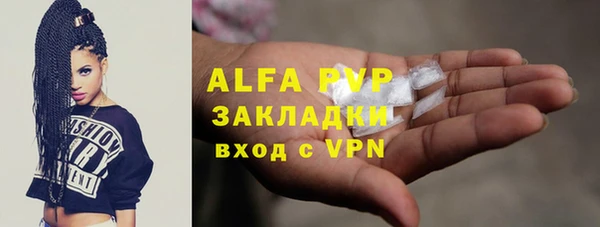 шишки Белоозёрский