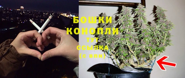 Альфа ПВП Белокуриха