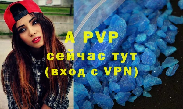 шишки Белоозёрский